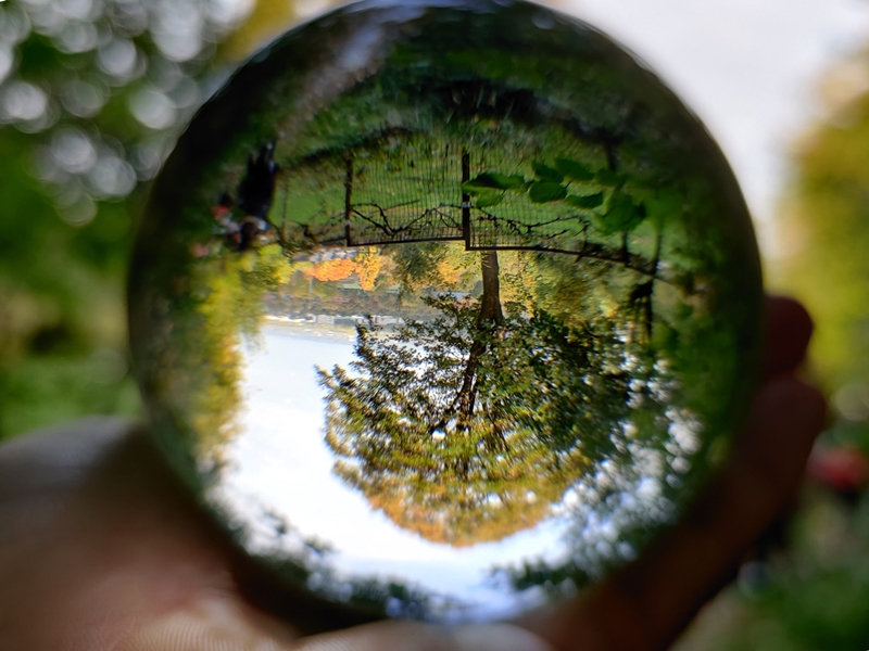 Bild von einem Lensball mit einem großen Baum als Motiv.